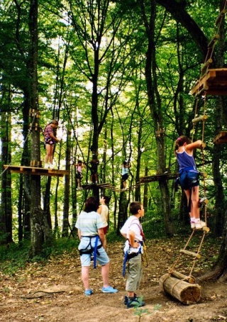  In the heart of nature 